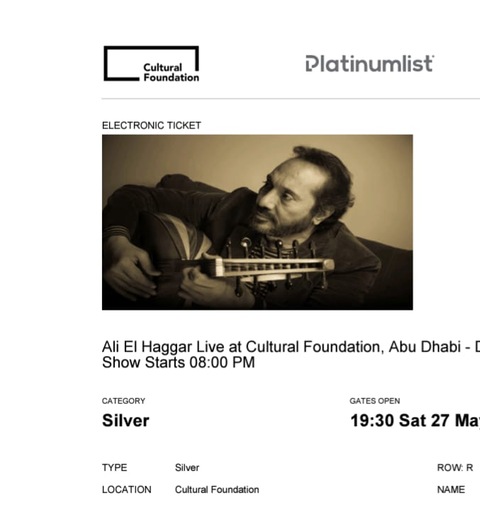 Ali Elhaggar concert
