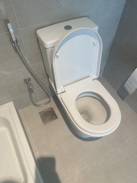 VilleroyBoch Washroom sink, toilet seat and shower