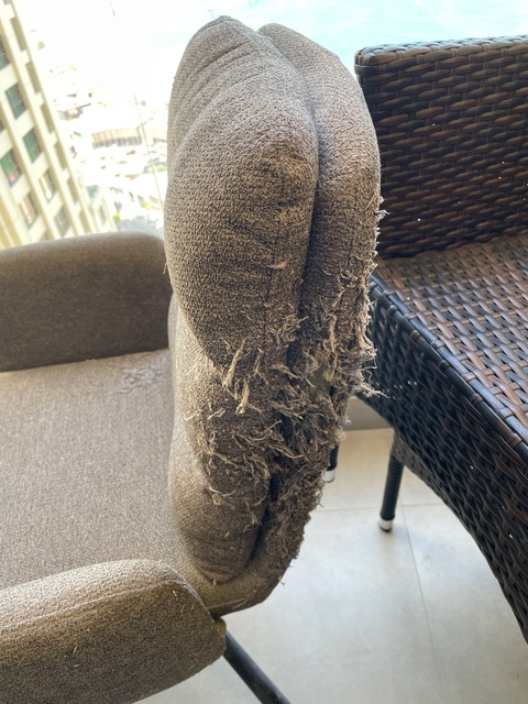grey swivel desk chair , damage by cats, need upholstery