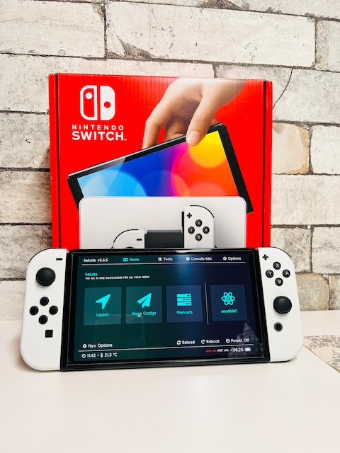 Unpatched Nintendo switch oled