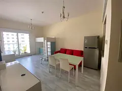 Fully Furnished One Bedroom Cbd 25 Global Green View 2 Building