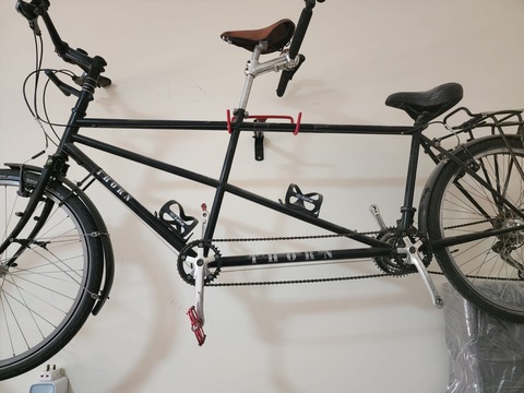 cycle THORN Tandem