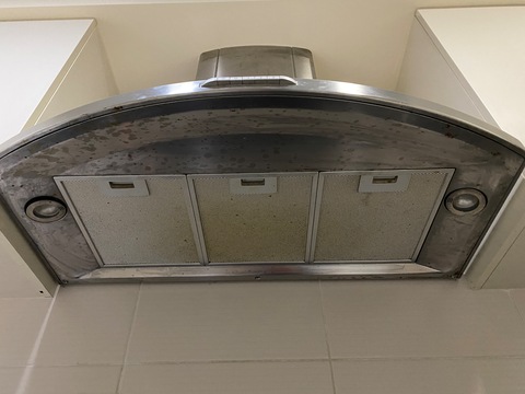 Cooker hood 200 aed palm