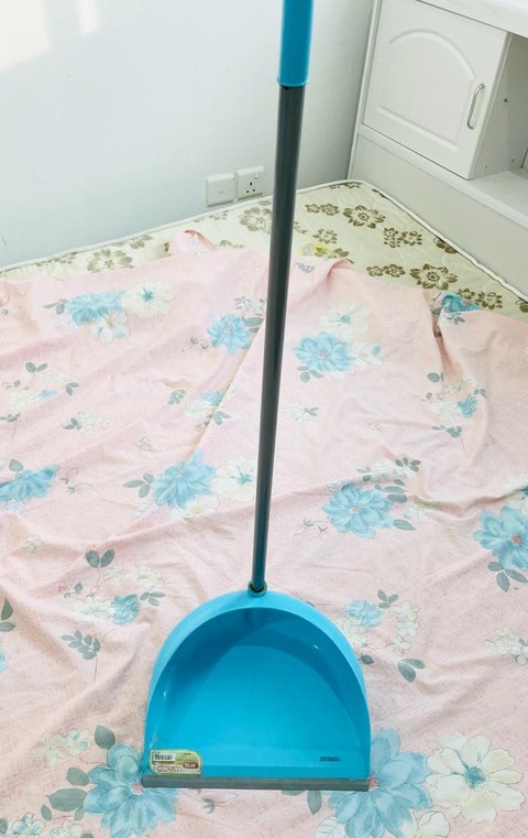 Cleaning mop