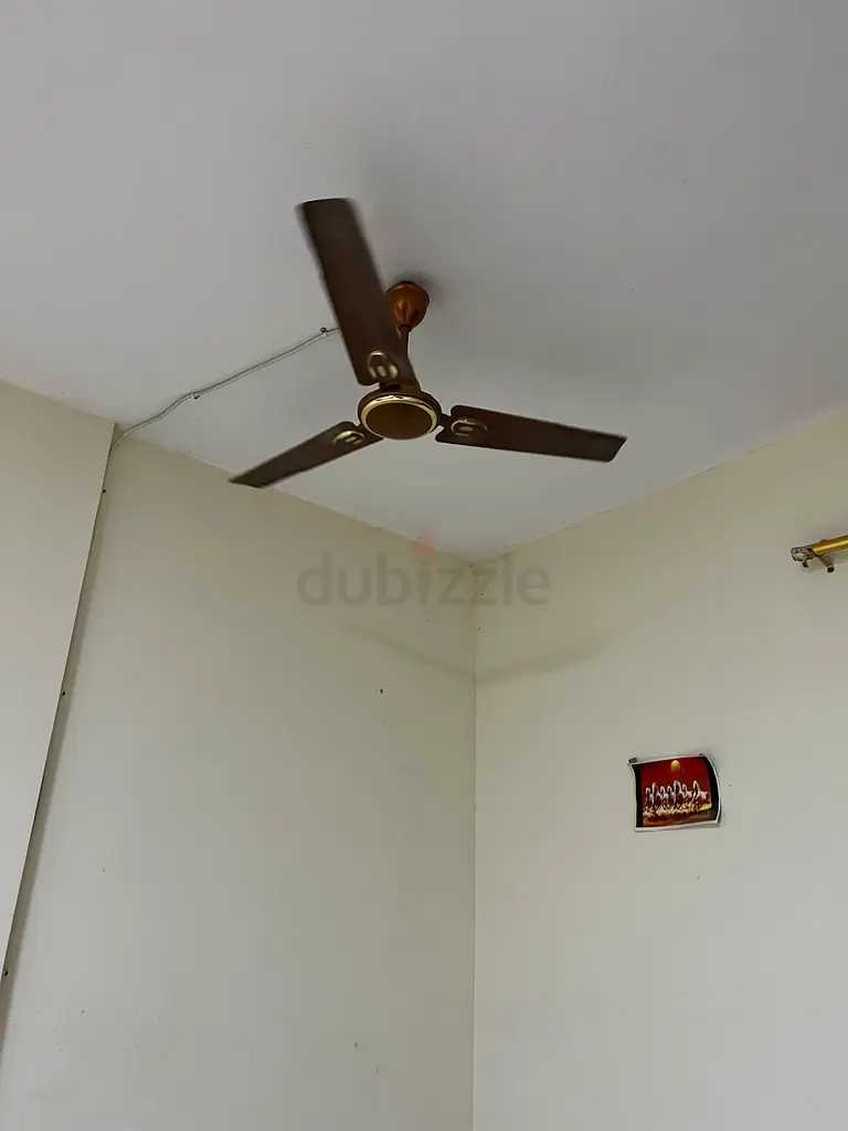 Ceiling fan