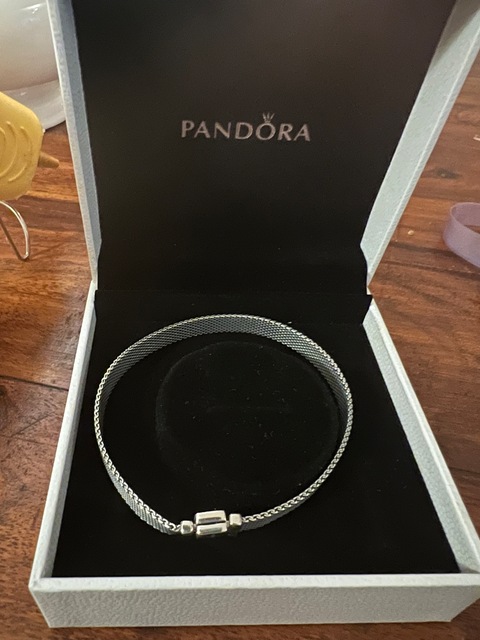 Pandora reflexions mesh bracelet