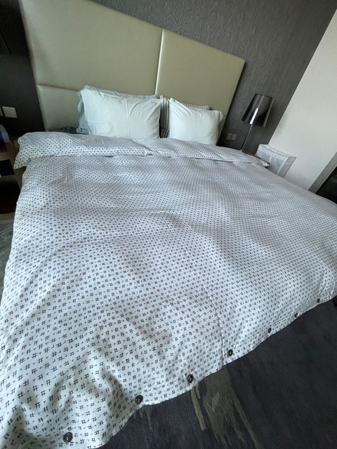 duvet/comforter cover (like new) king size