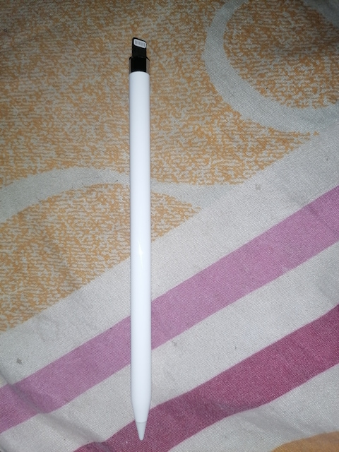 Apple Pencil with Type C Hub