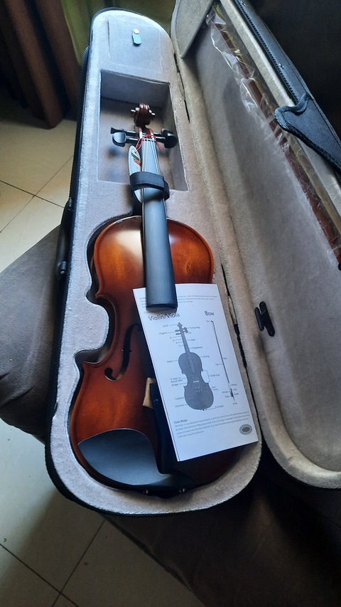 Violin  adult size 44
