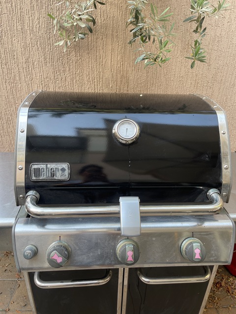 Weber gas grill with its cover protection