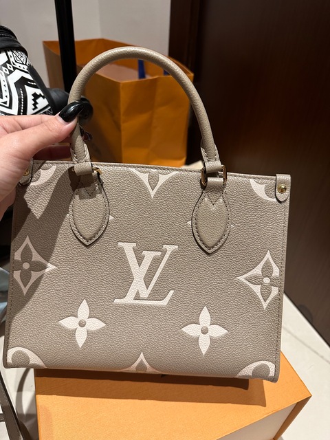 Onthego Pm tote LV
