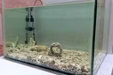 Fish Aquarium with Accessories