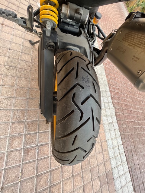 Ducati Scrambler Desert Sled 2017 in white mirage color