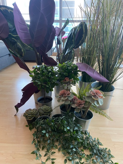 13 plastic indoor plants and pots