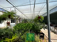Al Warsan 10,000 Sq. Ft Total Plot Area With Built-in Open Shed And Offices