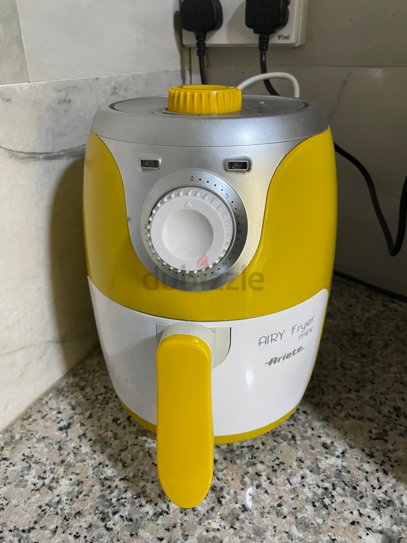 Mini fryer