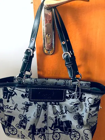 Handbag Coach