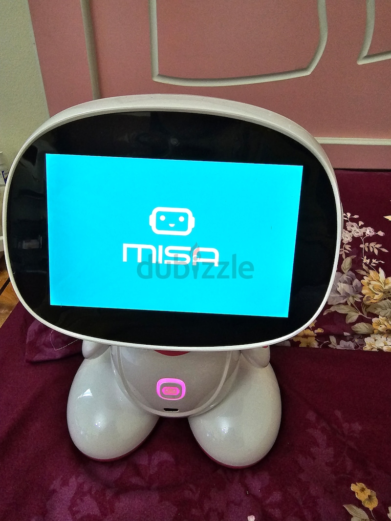 Misa Robot