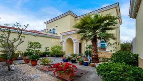 Vacant On Transfer | Large Plot | Landscaped