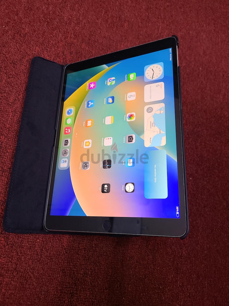 iPad Pro (10.5inch)Wi-Fi 256GB - 通販 - guianegro.com.br