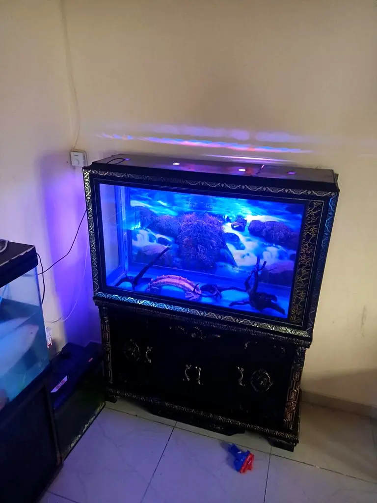 Beautiful Antic Aquarium throwaway price