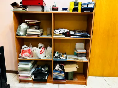 File store cabinet or storage shelves
