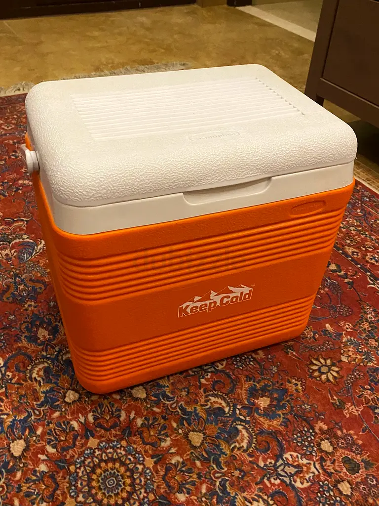 Medium Size Cooler Box