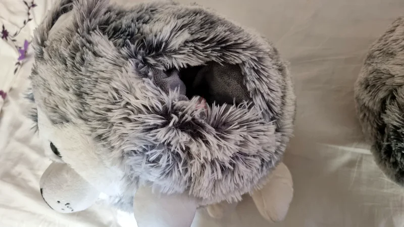 Husky plushy soft toy and hand warmer62863824582017112
