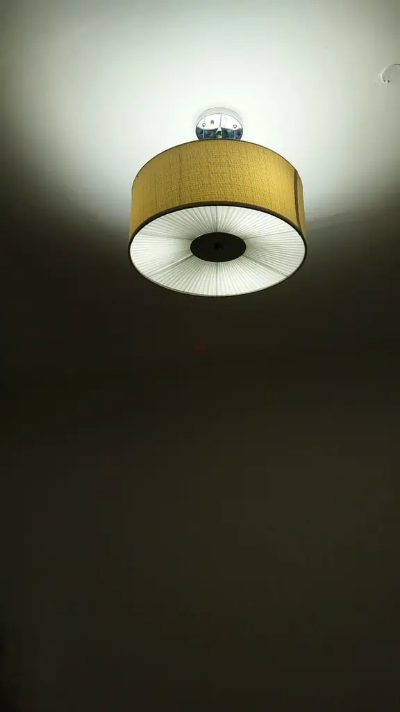 Ceiling lamps