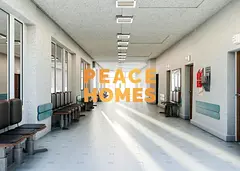 Perfect Layout| Prime Location|officee