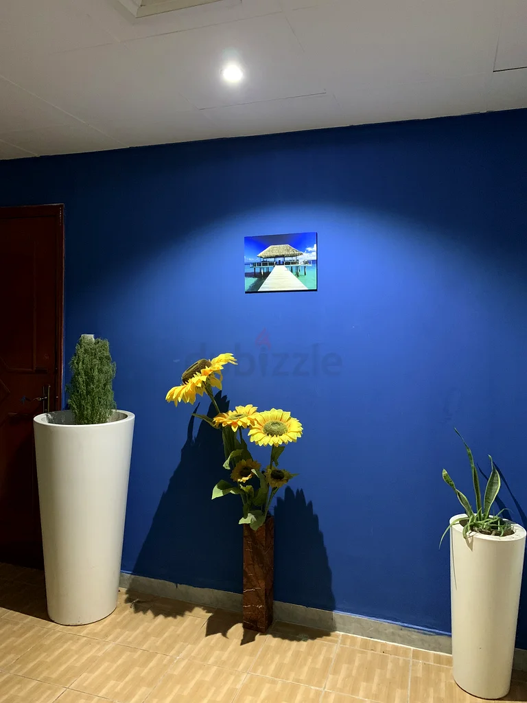 Apartment/Flat for Rent Super Exeuctive partition room in Burjuman