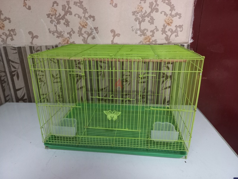 Green sales bird cage