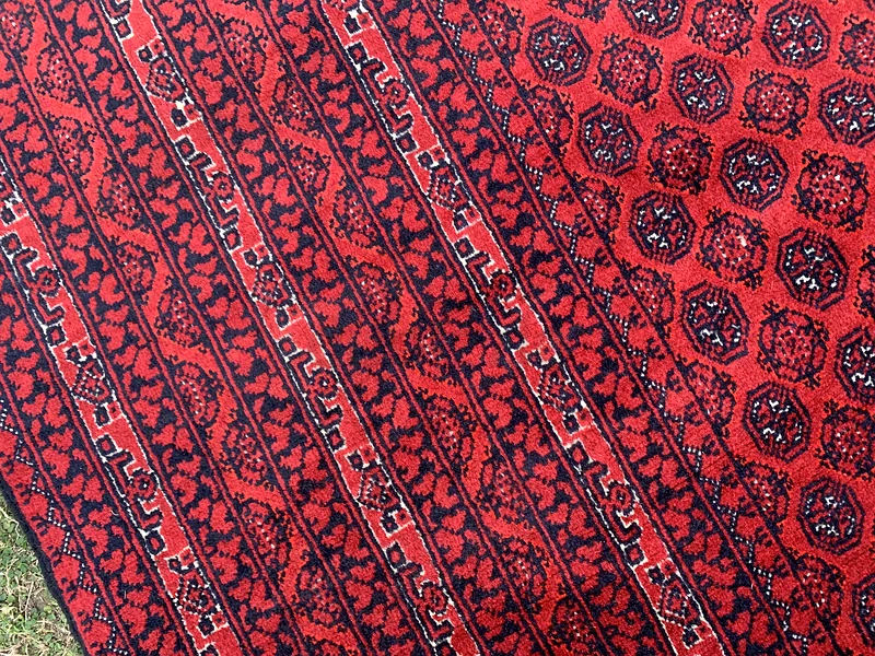 240 × 340 سم | سجادة تركمانية روشناي يدوية الصنع جديدة وجميلة63183723187201114