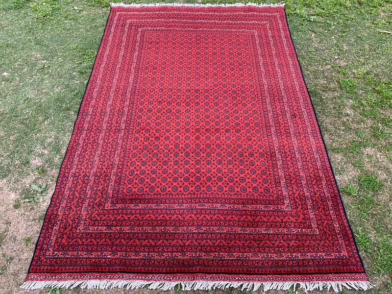 240 × 340 سم | سجادة تركمانية روشناي يدوية الصنع جديدة وجميلة63183723187201112