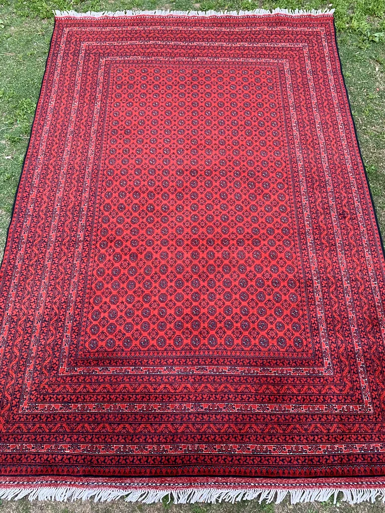 240 × 340 سم | سجادة تركمانية روشناي يدوية الصنع جديدة وجميلة63183723187201113