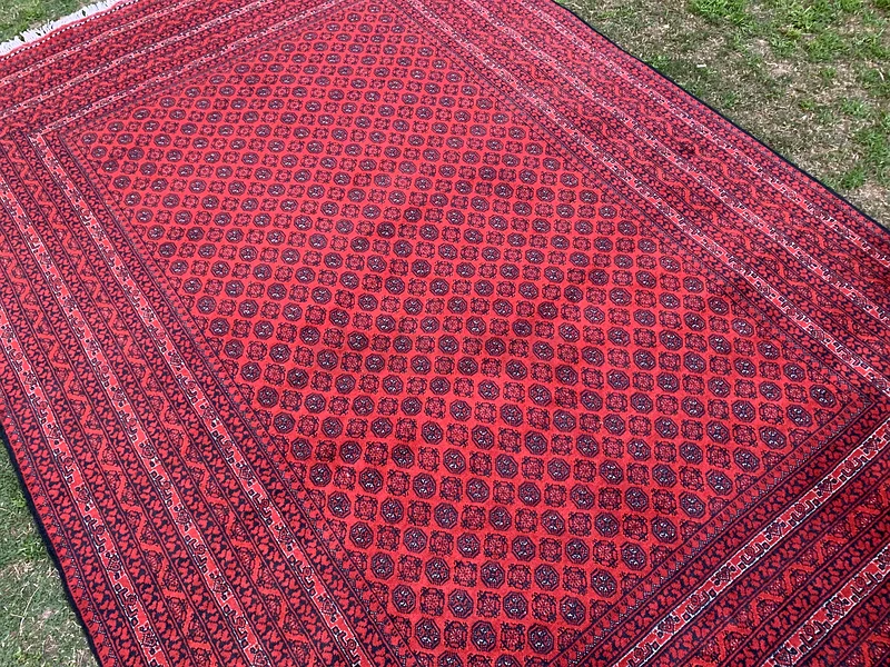 240 × 340 سم | سجادة تركمانية روشناي يدوية الصنع جديدة وجميلة63183723187201111