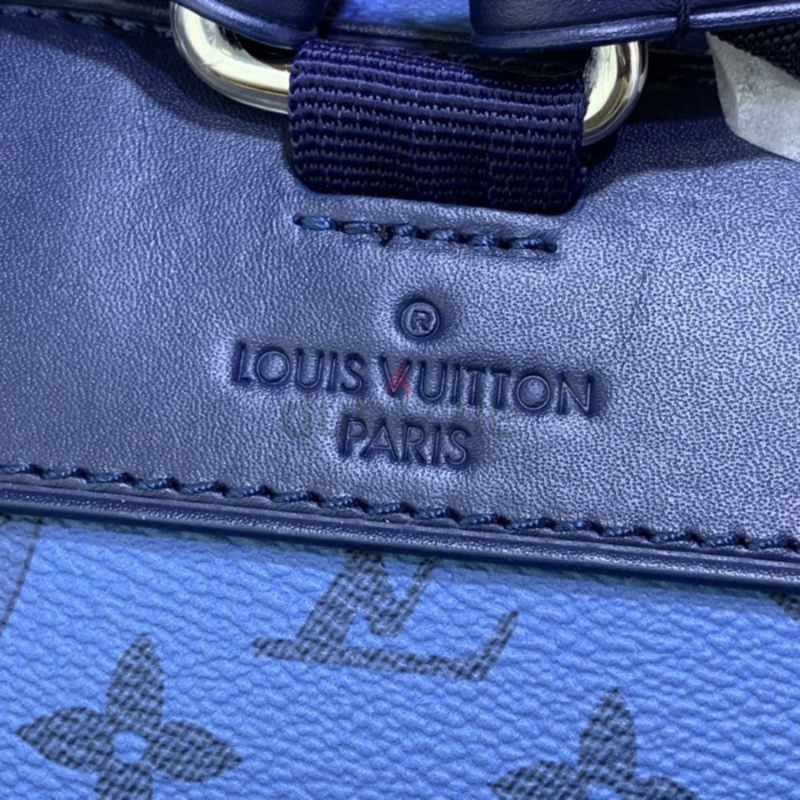 LV Christopher MM Backpack In Monogram Aquagarden Coated Can