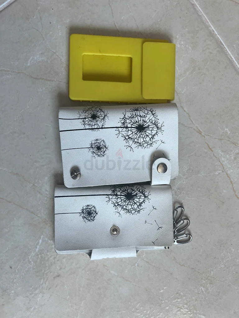 Card holder and key holder632376095345941127
