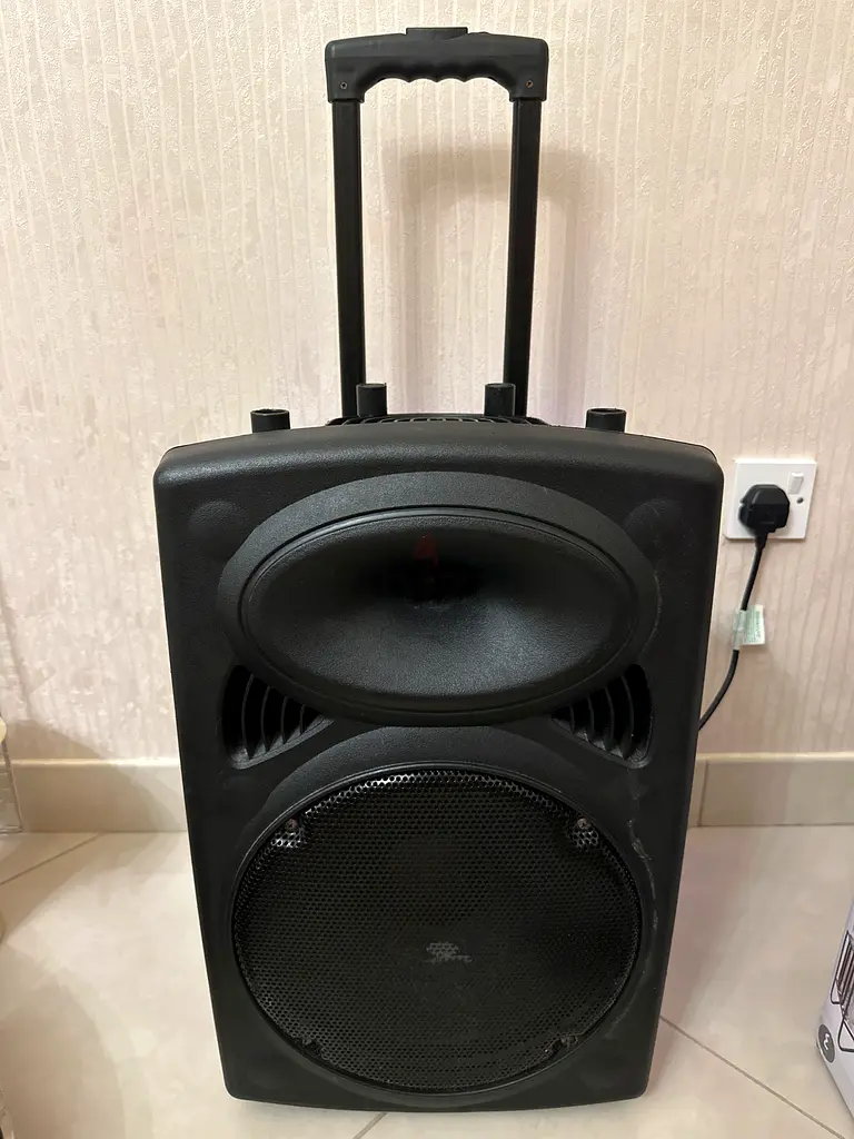 Dj Bluetooth portable party speaker