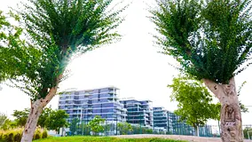 Exclusive | Multiple Units | Golf View