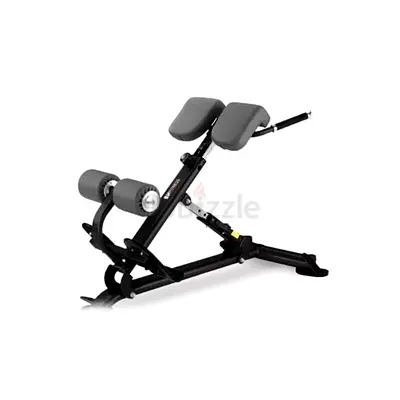 back extension BH 40°