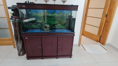 Used aquariums for outlet sale