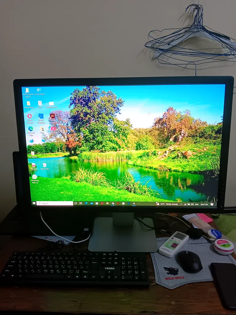 Dell 30 inch U3014t Monitor