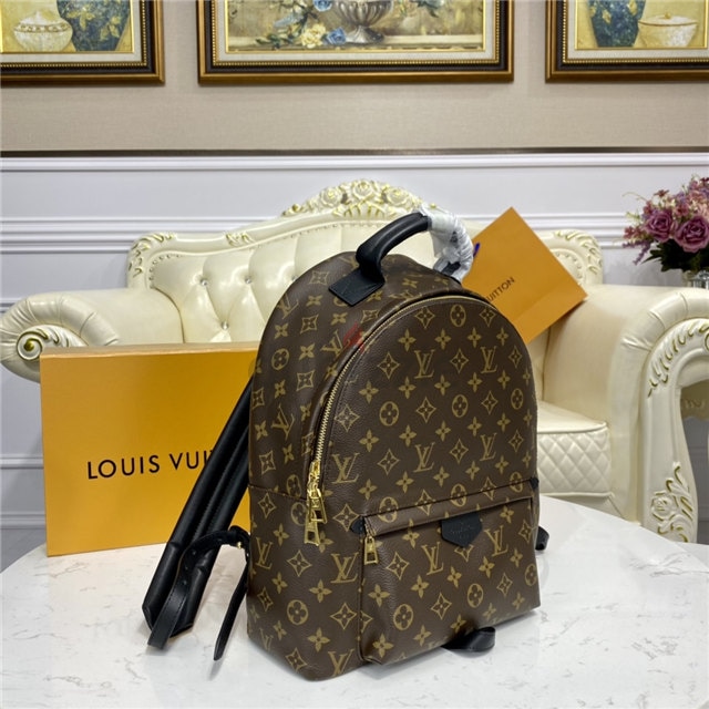 Louis Vuitton Palm Springs Backpack Size mm Noir M44874 Monogram