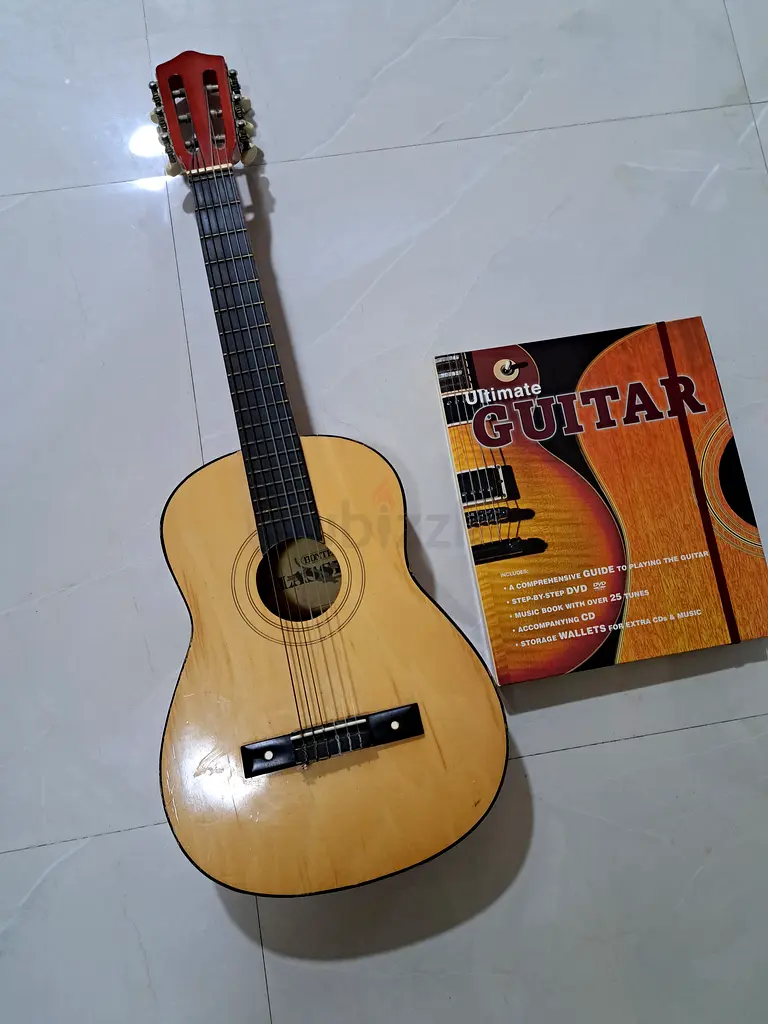 Guitar