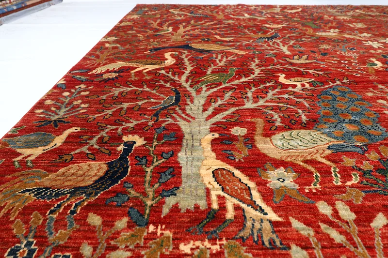 252 × 287 سم | 8.4 × 9.5 قدم | بساط طيور بمساحة برتقالية | سجادة أفغانية مصنوعة يدويًا63185241473155114