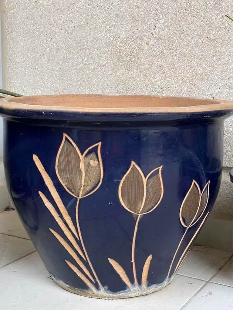 Flower Pots and planters