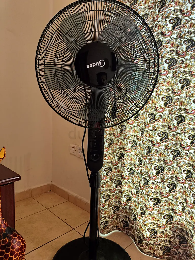 Standing Fan