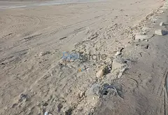 80,000 Sqft Industrial Land Available For Sale In Al Quoz
