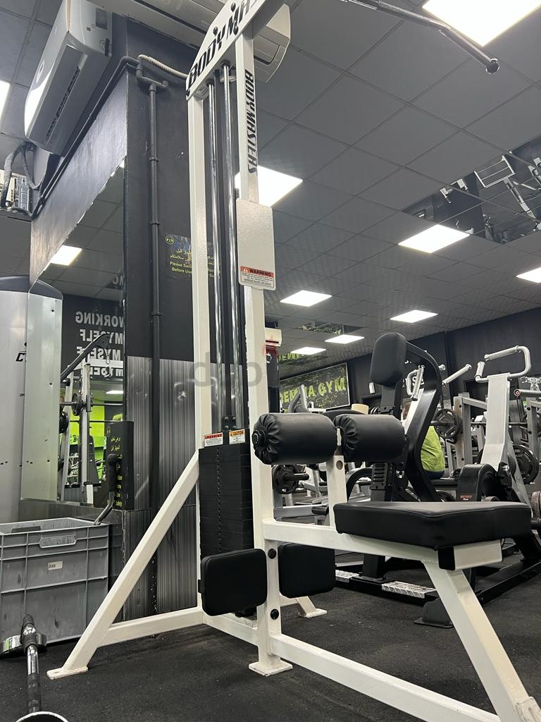 Lat pulldown Body Master